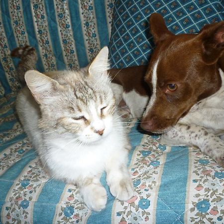Su Trabi B&B ฟลูมินิมัจจอเร ภายนอก รูปภาพ